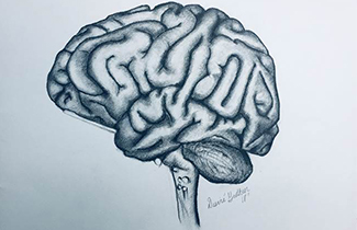 brain artwork