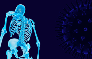 cOVID virus and skeleton