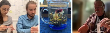 Tea-mindfulness