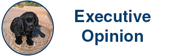 Executive Opinion